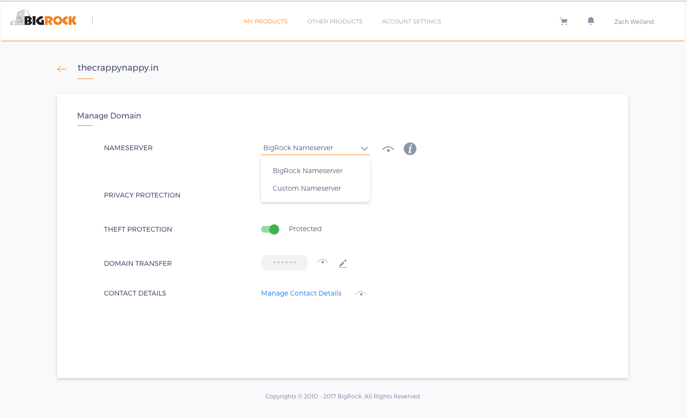 Option to Choose Custom NS over BigRock NS